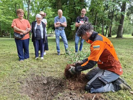 Dobimo se v Kindlerjevem parku (25)_pomembno je, da veš, kakšno sadiko kupuješ